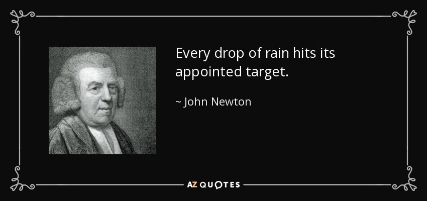 Every drop of rain hits its appointed target. - John Newton