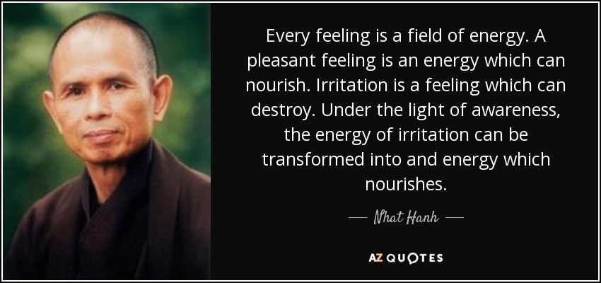 Every feeling is a field of energy. A pleasant feeling is an energy which can nourish. Irritation is a feeling which can destroy. Under the light of awareness, the energy of irritation can be transformed into and energy which nourishes. - Nhat Hanh