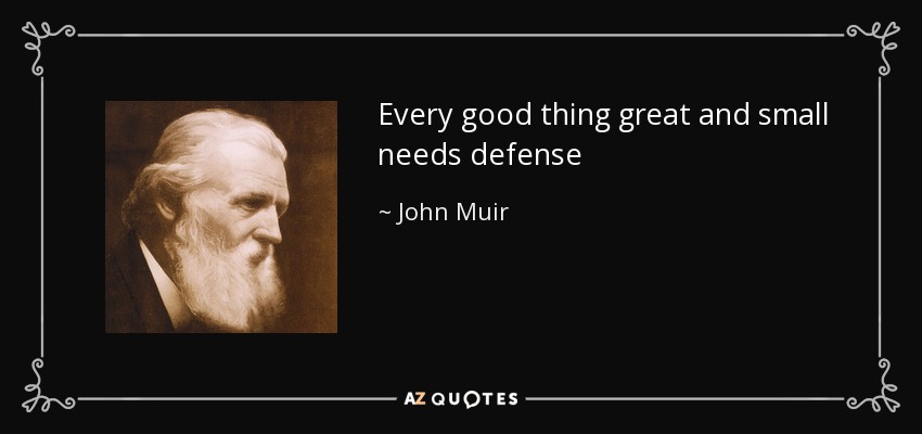 Every good thing great and small needs defense - John Muir