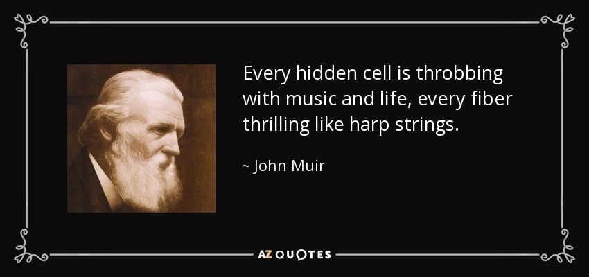 Every hidden cell is throbbing with music and life, every fiber thrilling like harp strings. - John Muir