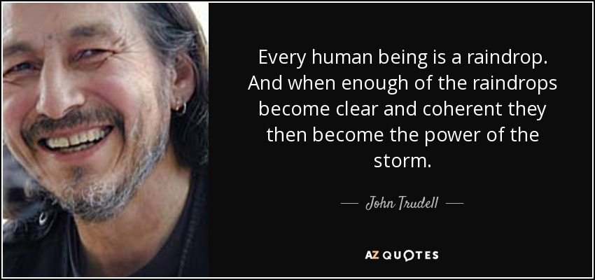 Every human being is a raindrop. And when enough of the raindrops become clear and coherent they then become the power of the storm. - John Trudell