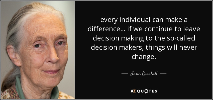 every individual can make a difference ... if we continue to leave decision making to the so-called decision makers, things will never change. - Jane Goodall