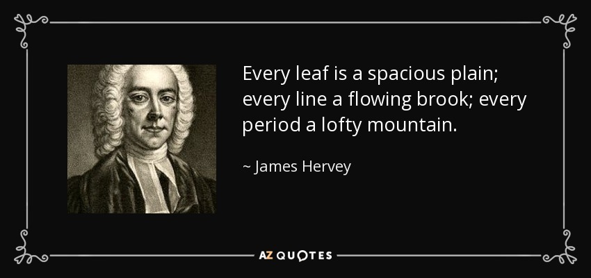 Every leaf is a spacious plain; every line a flowing brook; every period a lofty mountain. - James Hervey