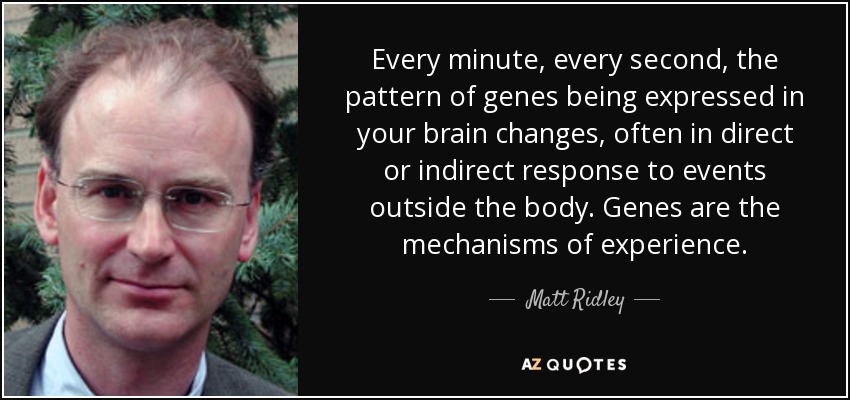 Every minute, every second, the pattern of genes being expressed in your brain changes, often in direct or indirect response to events outside the body. Genes are the mechanisms of experience. - Matt Ridley