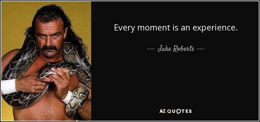 Every moment is an experience. - Jake Roberts