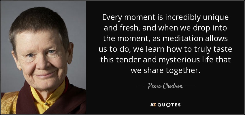 Every moment is incredibly unique and fresh, and when we drop into the moment, as meditation allows us to do, we learn how to truly taste this tender and mysterious life that we share together. - Pema Chodron