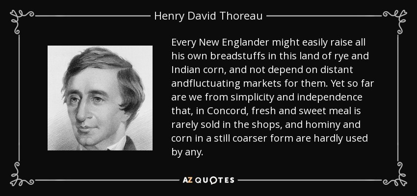 Every New Englander might easily raise all his own breadstuffs in this land of rye and Indian corn, and not depend on distant andfluctuating markets for them. Yet so far are we from simplicity and independence that, in Concord, fresh and sweet meal is rarely sold in the shops, and hominy and corn in a still coarser form are hardly used by any. - Henry David Thoreau