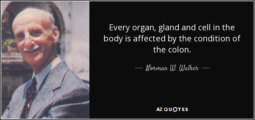 Every organ, gland and cell in the body is affected by the condition of the colon. - Norman W. Walker