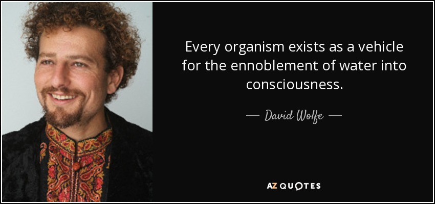 Every organism exists as a vehicle for the ennoblement of water into consciousness. - David Wolfe