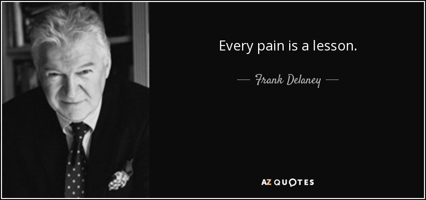 Every pain is a lesson. - Frank Delaney