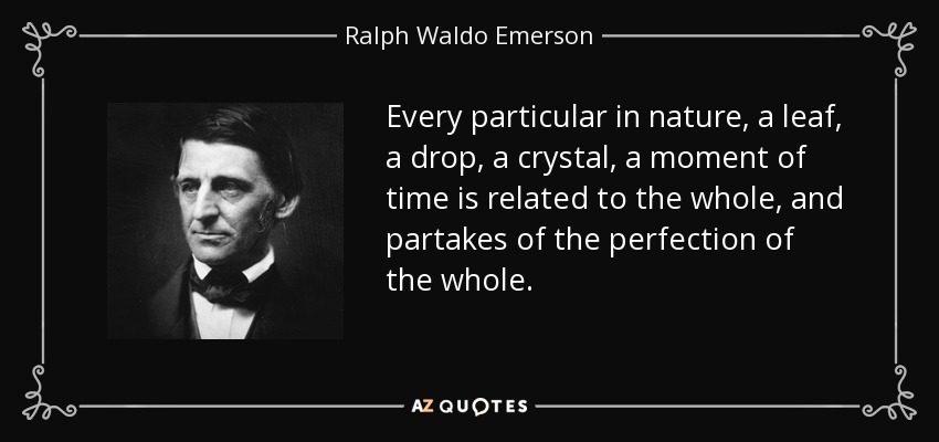 Every particular in nature, a leaf, a drop, a crystal, a moment of time is related to the whole, and partakes of the perfection of the whole. - Ralph Waldo Emerson