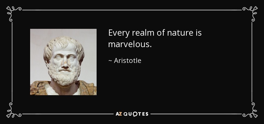Every realm of nature is marvelous. - Aristotle