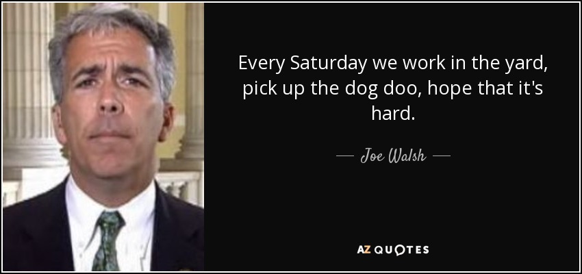 Every Saturday we work in the yard, pick up the dog doo, hope that it's hard. - Joe Walsh