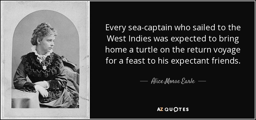 Every sea-captain who sailed to the West Indies was expected to bring home a turtle on the return voyage for a feast to his expectant friends. - Alice Morse Earle