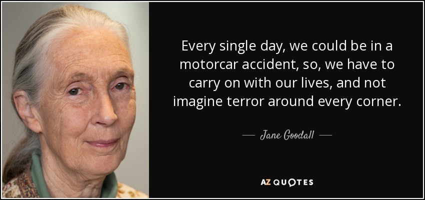 Every single day, we could be in a motorcar accident, so, we have to carry on with our lives, and not imagine terror around every corner. - Jane Goodall