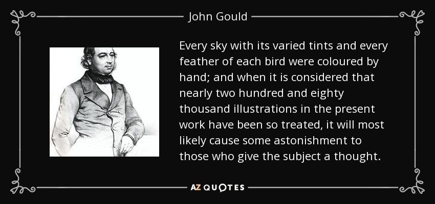 Every sky with its varied tints and every feather of each bird were coloured by hand; and when it is considered that nearly two hundred and eighty thousand illustrations in the present work have been so treated, it will most likely cause some astonishment to those who give the subject a thought. - John Gould