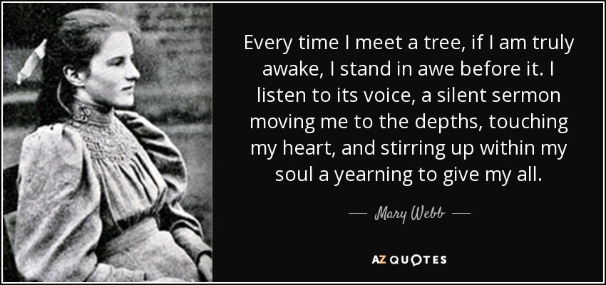 Every time I meet a tree, if I am truly awake, I stand in awe before it. I listen to its voice, a silent sermon moving me to the depths, touching my heart, and stirring up within my soul a yearning to give my all. - Mary Webb