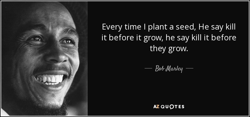Every time I plant a seed, He say kill it before it grow, he say kill it before they grow. - Bob Marley