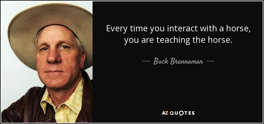 Every time you interact with a horse, you are teaching the horse. - Buck Brannaman