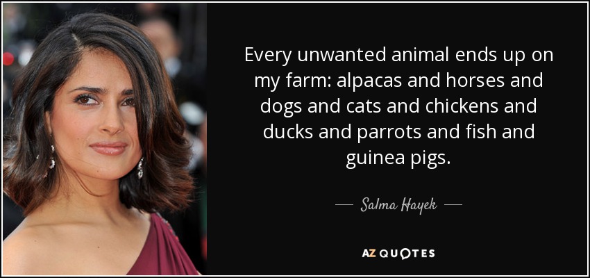 Every unwanted animal ends up on my farm: alpacas and horses and dogs and cats and chickens and ducks and parrots and fish and guinea pigs. - Salma Hayek