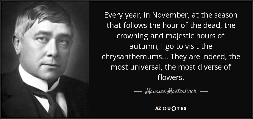 Every year, in November, at the season that follows the hour of the dead, the crowning and majestic hours of autumn, I go to visit the chrysanthemums ... They are indeed, the most universal, the most diverse of flowers. - Maurice Maeterlinck