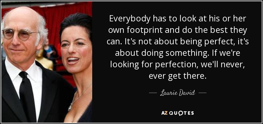 Everybody has to look at his or her own footprint and do the best they can. It's not about being perfect, it's about doing something. If we're looking for perfection, we'll never, ever get there. - Laurie David