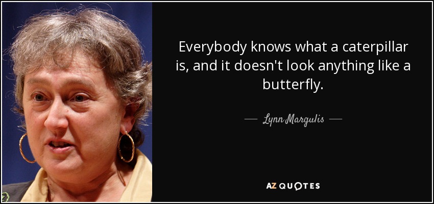 Everybody knows what a caterpillar is, and it doesn't look anything like a butterfly. - Lynn Margulis