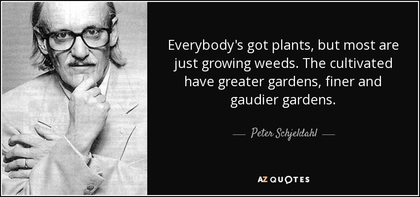 Everybody's got plants, but most are just growing weeds. The cultivated have greater gardens, finer and gaudier gardens. - Peter Schjeldahl