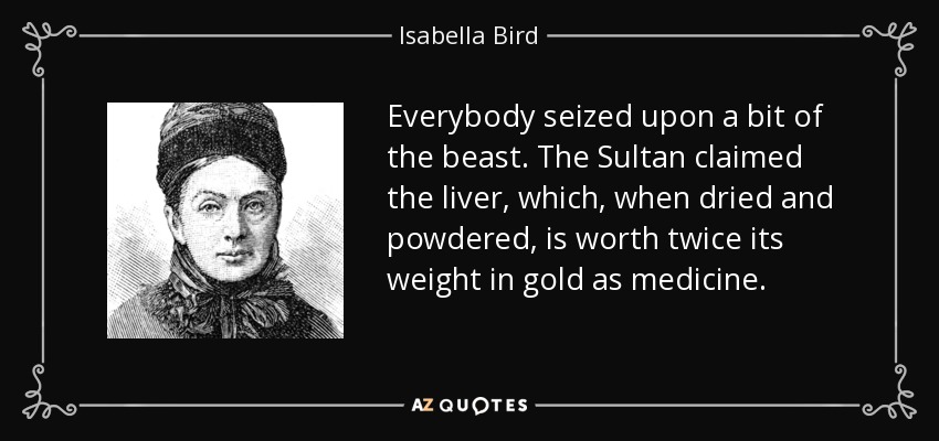 Everybody seized upon a bit of the beast. The Sultan claimed the liver, which, when dried and powdered, is worth twice its weight in gold as medicine. - Isabella Bird
