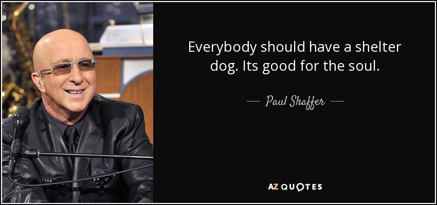 Everybody should have a shelter dog. Its good for the soul. - Paul Shaffer