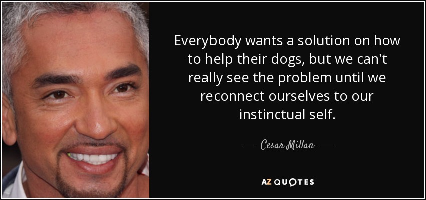 Everybody wants a solution on how to help their dogs, but we can't really see the problem until we reconnect ourselves to our instinctual self. - Cesar Millan