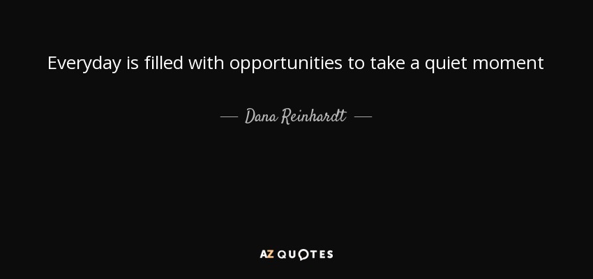 Everyday is filled with opportunities to take a quiet moment - Dana Reinhardt