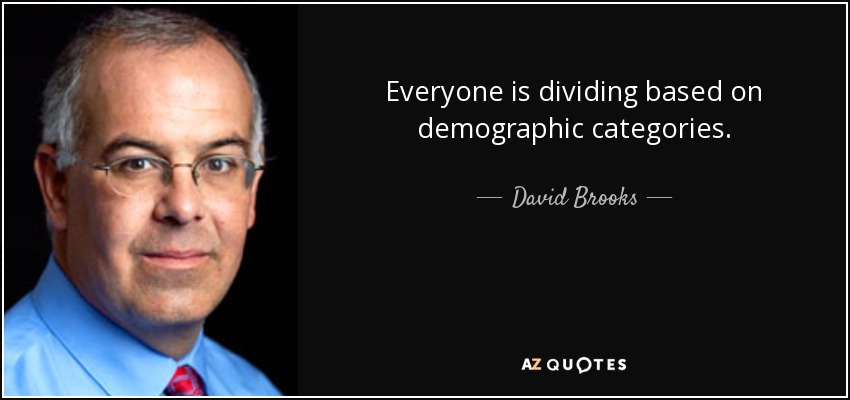 Everyone is dividing based on demographic categories. - David Brooks