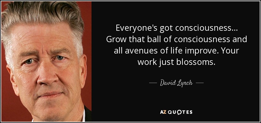Everyone's got consciousness.. . Grow that ball of consciousness and all avenues of life improve. Your work just blossoms. - David Lynch