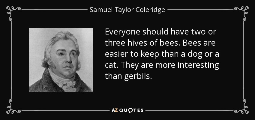 Everyone should have two or three hives of bees. Bees are easier to keep than a dog or a cat. They are more interesting than gerbils. - Samuel Taylor Coleridge