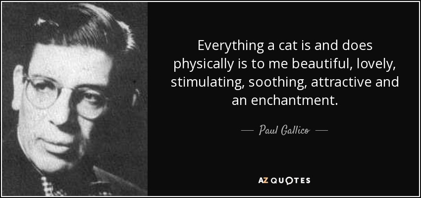 Everything a cat is and does physically is to me beautiful, lovely, stimulating, soothing, attractive and an enchantment. - Paul Gallico