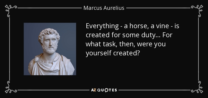 Everything - a horse, a vine - is created for some duty... For what task, then, were you yourself created? - Marcus Aurelius