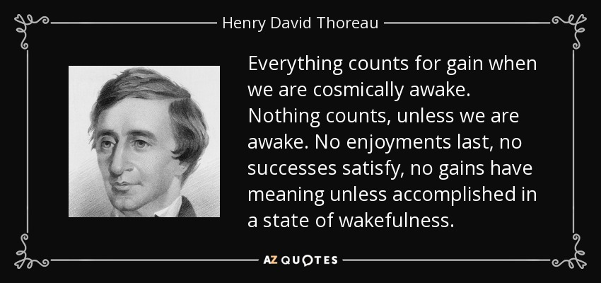 Everything counts for gain when we are cosmically awake. Nothing counts, unless we are awake. No enjoyments last, no successes satisfy, no gains have meaning unless accomplished in a state of wakefulness. - Henry David Thoreau