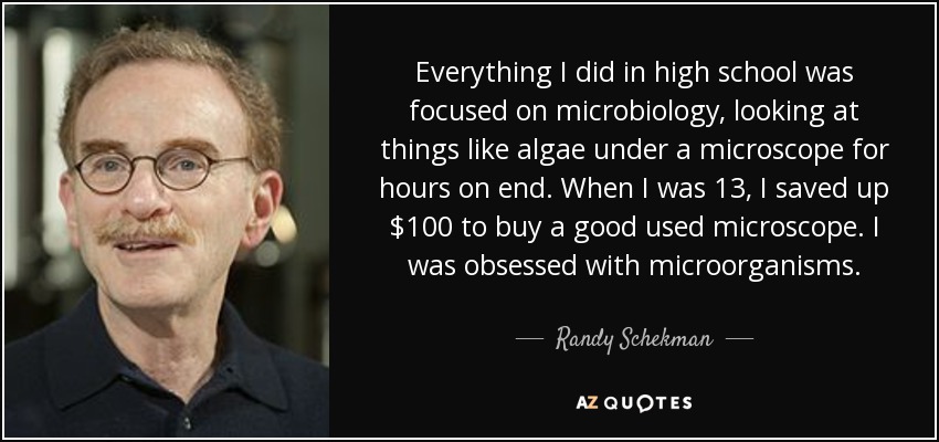 Everything I did in high school was focused on microbiology, looking at things like algae under a microscope for hours on end. When I was 13, I saved up $100 to buy a good used microscope. I was obsessed with microorganisms. - Randy Schekman