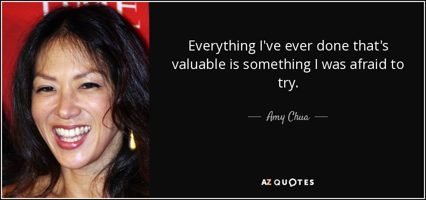 Everything I've ever done that's valuable is something I was afraid to try. - Amy Chua