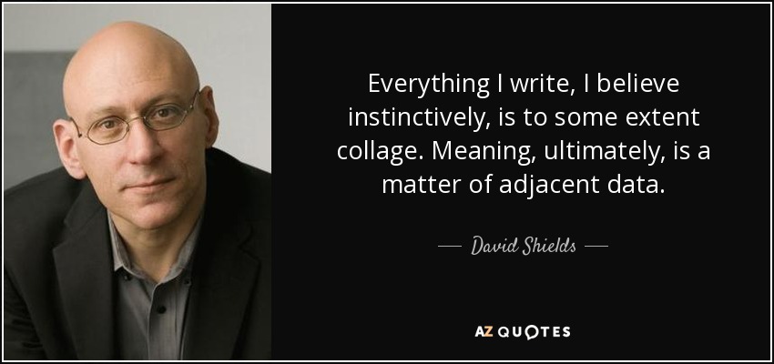 Everything I write, I believe instinctively, is to some extent collage. Meaning, ultimately, is a matter of adjacent data. - David Shields