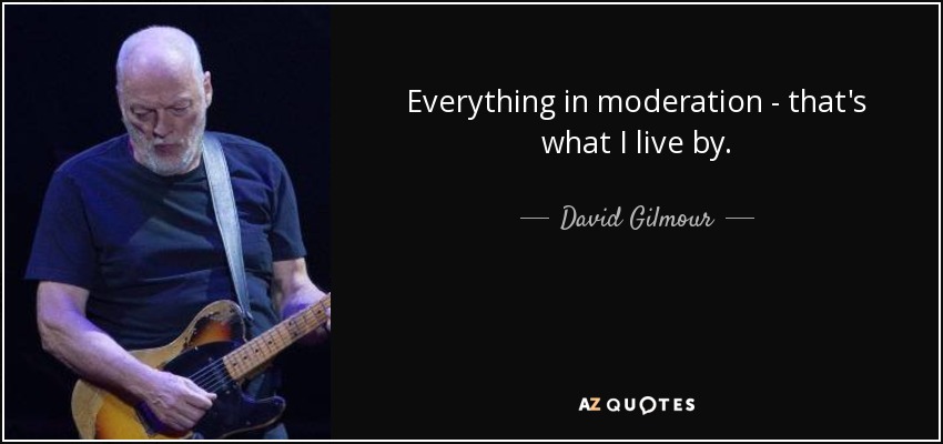 Everything in moderation - that's what I live by. - David Gilmour