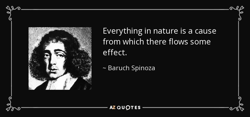 Everything in nature is a cause from which there flows some effect. - Baruch Spinoza