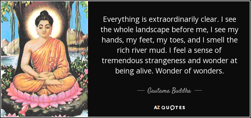 Everything is extraordinarily clear. I see the whole landscape before me, I see my hands, my feet, my toes, and I smell the rich river mud. I feel a sense of tremendous strangeness and wonder at being alive. Wonder of wonders. - Gautama Buddha