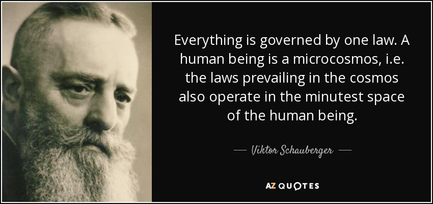 Everything is governed by one law. A human being is a microcosmos, i.e. the laws prevailing in the cosmos also operate in the minutest space of the human being. - Viktor Schauberger