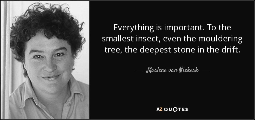 Everything is important. To the smallest insect, even the mouldering tree, the deepest stone in the drift. - Marlene van Niekerk