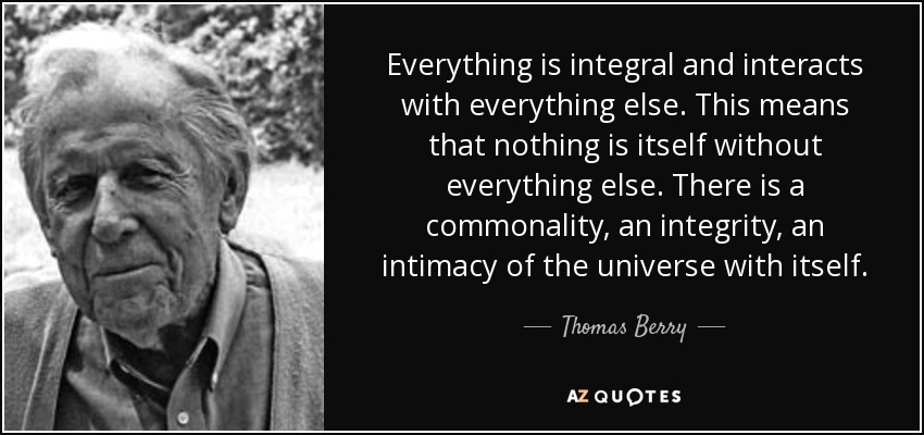 Everything is integral and interacts with everything else. This means that nothing is itself without everything else. There is a commonality, an integrity, an intimacy of the universe with itself. - Thomas Berry