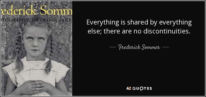 Everything is shared by everything else; there are no discontinuities. - Frederick Sommer