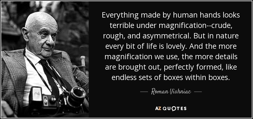 Everything made by human hands looks terrible under magnification--crude, rough, and asymmetrical. But in nature every bit of life is lovely. And the more magnification we use, the more details are brought out, perfectly formed, like endless sets of boxes within boxes. - Roman Vishniac