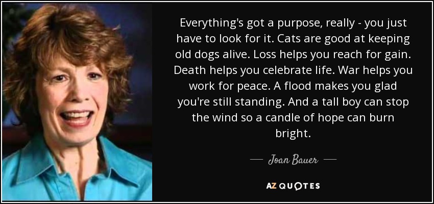 Everything's got a purpose, really - you just have to look for it. Cats are good at keeping old dogs alive. Loss helps you reach for gain. Death helps you celebrate life. War helps you work for peace. A flood makes you glad you're still standing. And a tall boy can stop the wind so a candle of hope can burn bright. - Joan Bauer